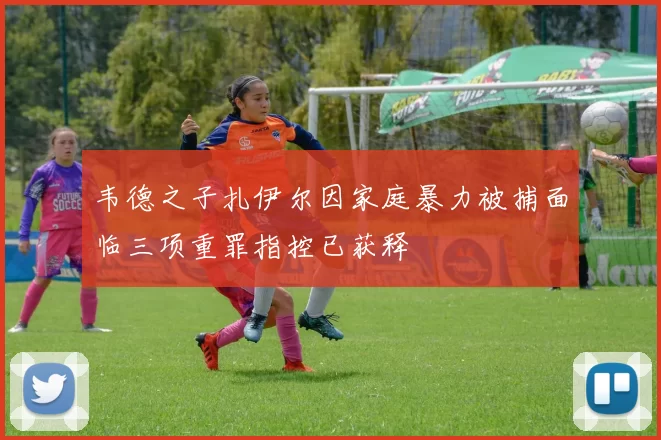 韦德之子扎伊尔因家庭暴力被捕面临三项重罪指控已获释