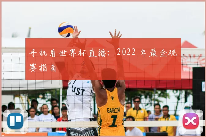 手机看世界杯直播：2022 年最全观赛指南