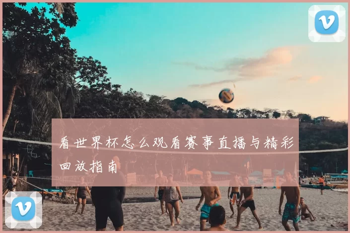 看世界杯怎么观看赛事直播与精彩回放指南