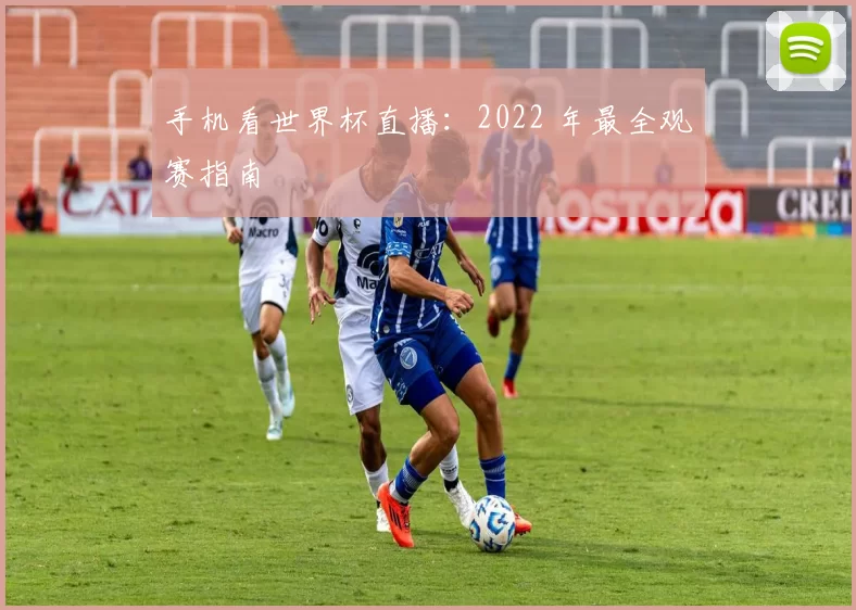 手机看世界杯直播：2022 年最全观赛指南