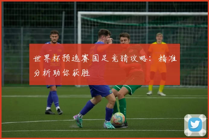 世界杯预选赛国足竞猜攻略:精准分析助你获胜