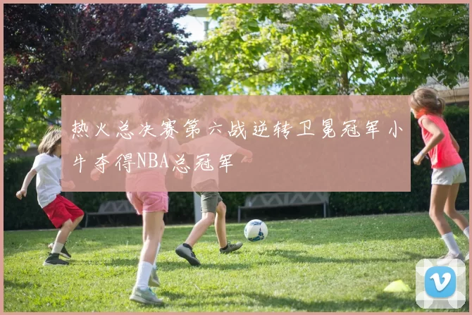 热火总决赛第六战逆转卫冕冠军小牛夺得NBA总冠军