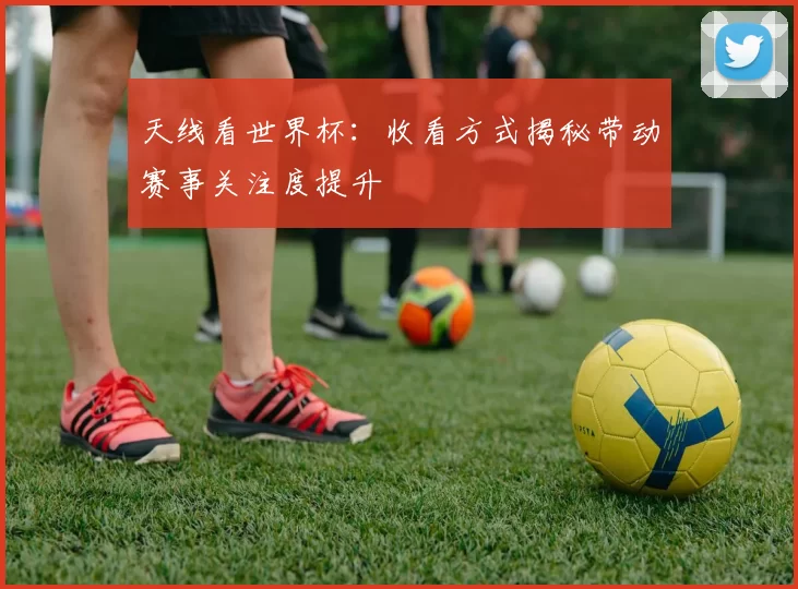 天线看世界杯:收看方式揭秘带动赛事关注度提升