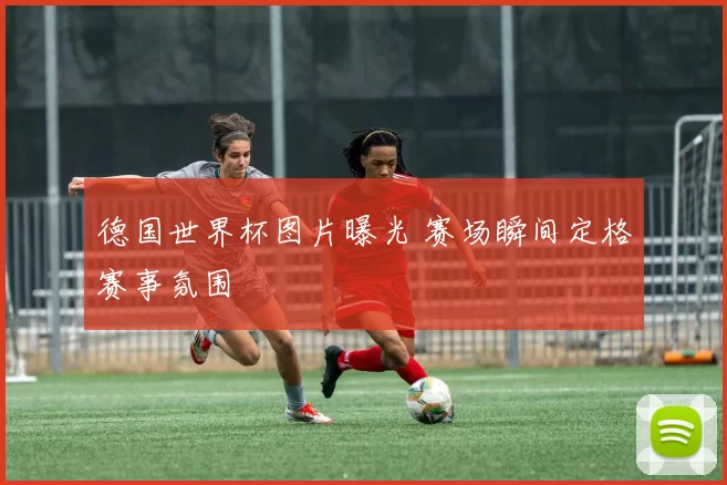 德国世界杯图片曝光 赛场瞬间定格赛事氛围