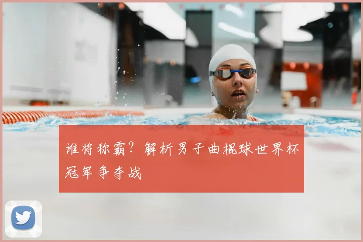谁将称霸?解析男子曲棍球世界杯冠军争夺战