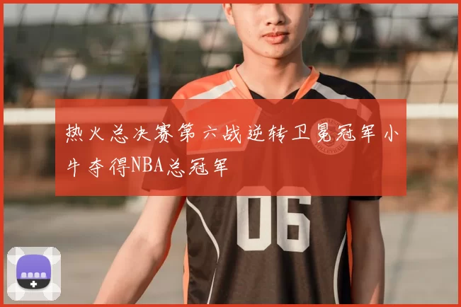 热火总决赛第六战逆转卫冕冠军小牛夺得NBA总冠军