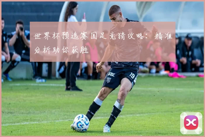 世界杯预选赛国足竞猜攻略：精准分析助你获胜