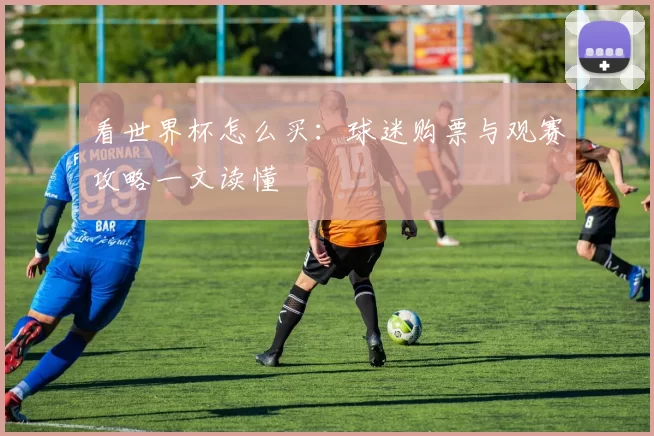 看世界杯怎么买:球迷购票与观赛攻略一文读懂